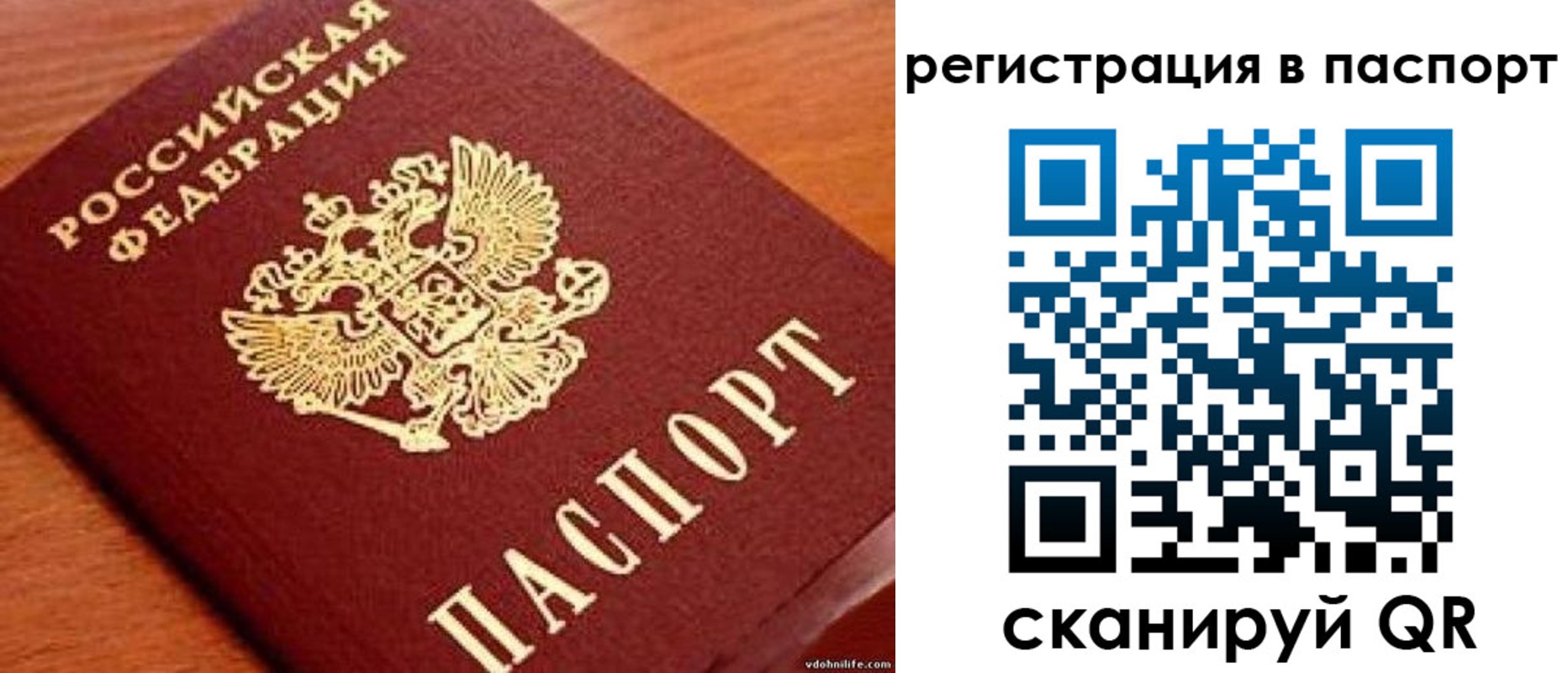 прописка законно в Ставрополе